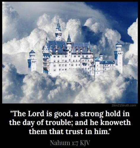 10:31:16 GMT-0500 (EST)