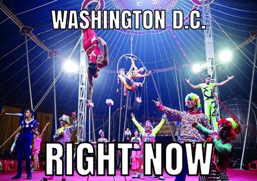 DC 1