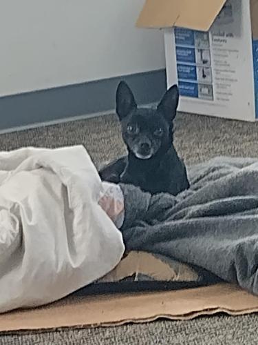 cb80eba8-8518-4f22-b146-b57ef24e175f