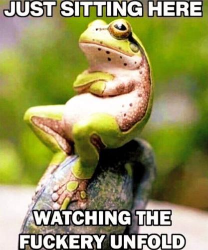 just sitting here watching teh fuckery unfold