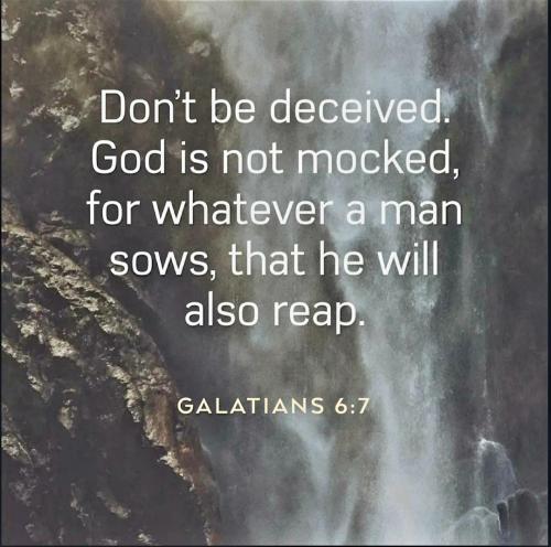 Screenshot_20230317_101857_Chrome