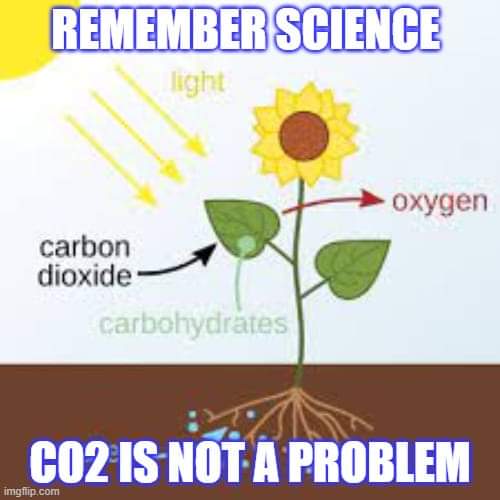 remember science class