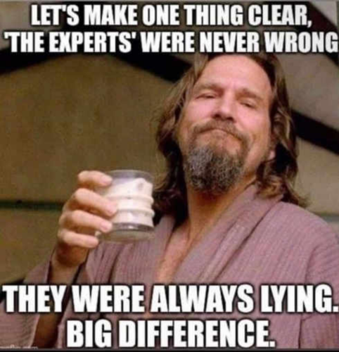 Lying experts