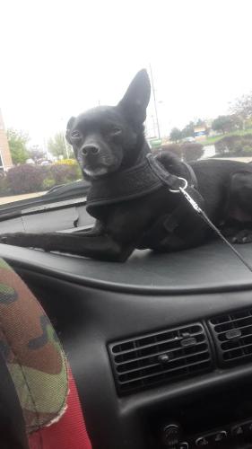 738b08f8-7e33-4b3b-8e92-4159e567d3f1