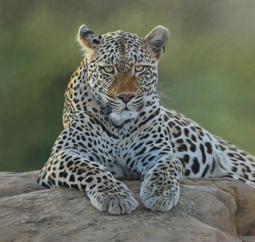 5C96AD63-2A43-4348-B417-561DD41039B3