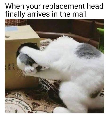 ae6893f3-9f5a-4edf-bb07-1d753a4275c7