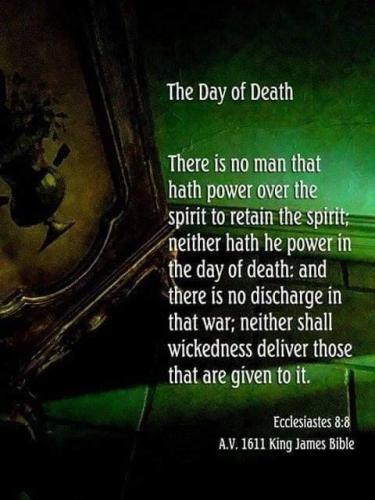 87563a52-3db9-43c5-887b-c2ee053c6024