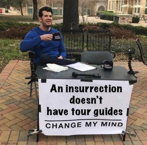 insurection tour guides