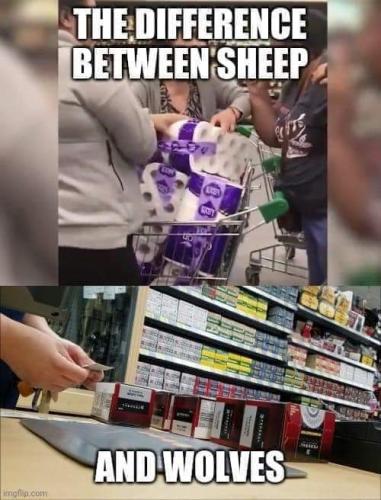 FB_IMG_1679599693427