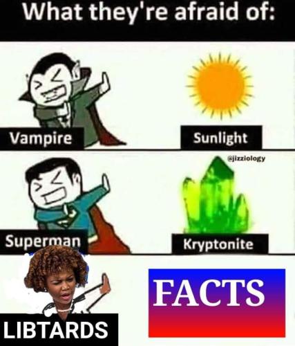 FB_IMG_1678724494199