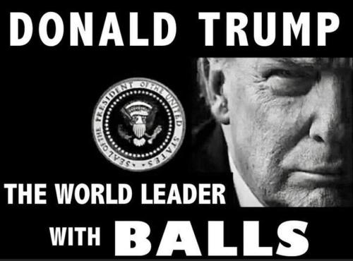 FB_IMG_1678987388262