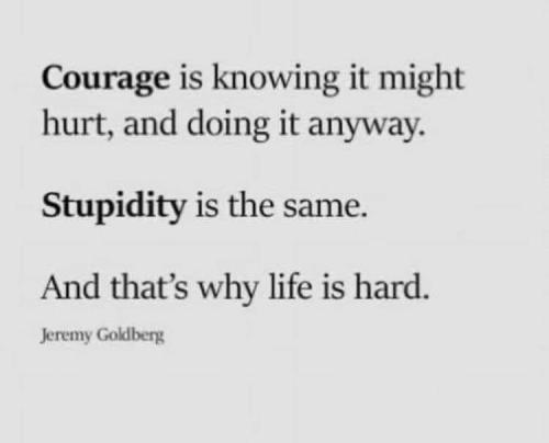 FB_IMG_1679331983620