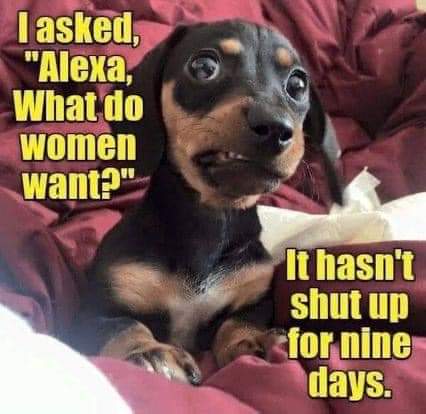 FB_IMG_1678305483434