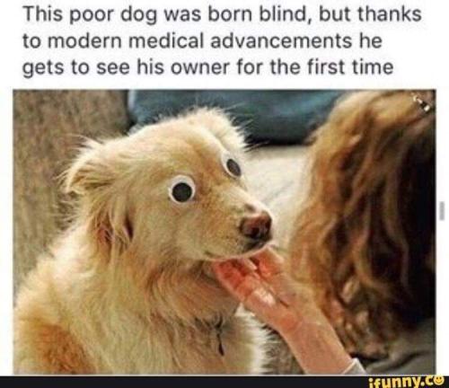 FB_IMG_1678305378718