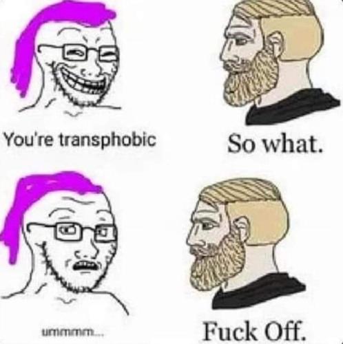 FB_IMG_1680187481834