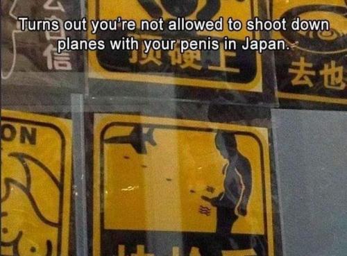 FB_IMG_1679943605192