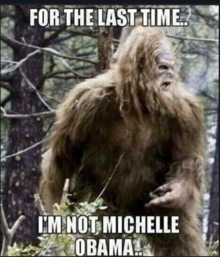 Screenshot_20230317_102534_Chrome