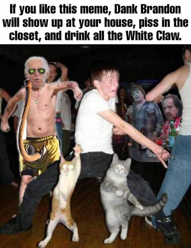 FB_IMG_1677878002776