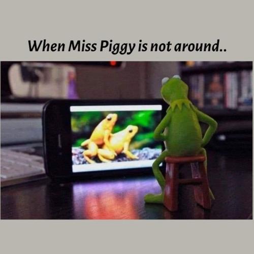 FB_IMG_1679071456887