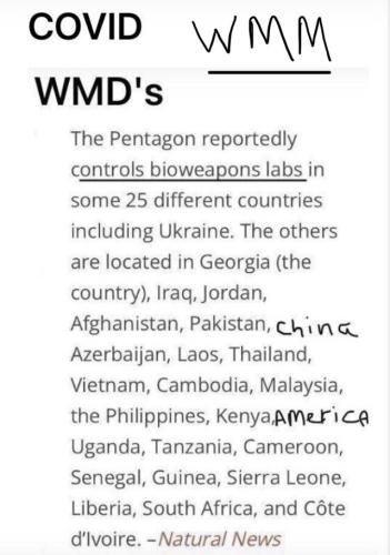 WMDs 1