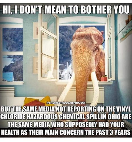 FB_IMG_1678924883211