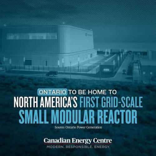 small modular reactor