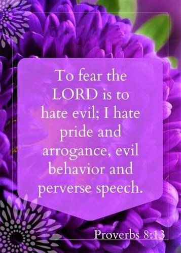 tumblr_plnakh5xaD1tjj2sjo1_1280