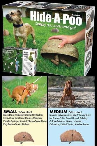 FB_IMG_1678817323380