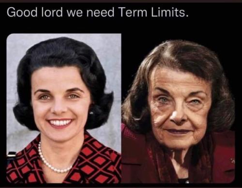 FB_IMG_1678364792948