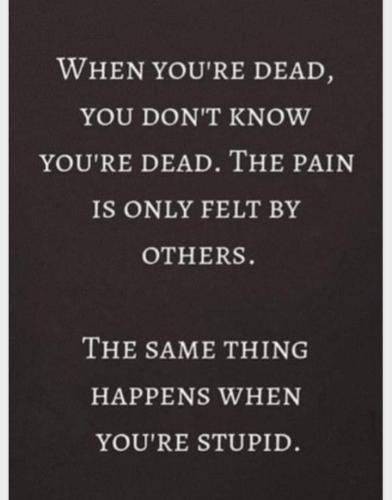 FB_IMG_1679878357994