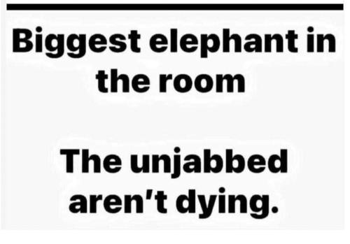 FB_IMG_1677984965929