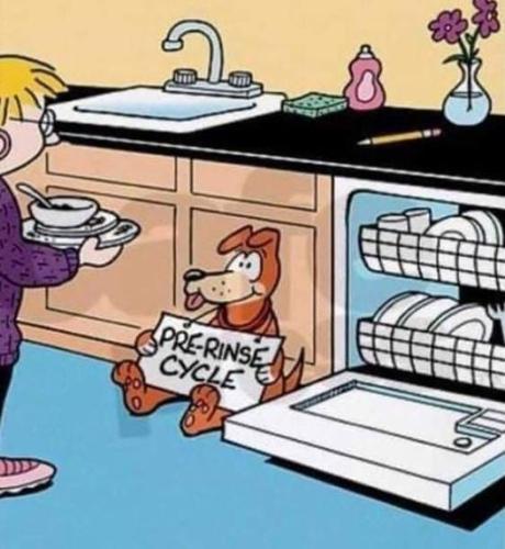 275379574_4701173066657933_6330406636301790863_n