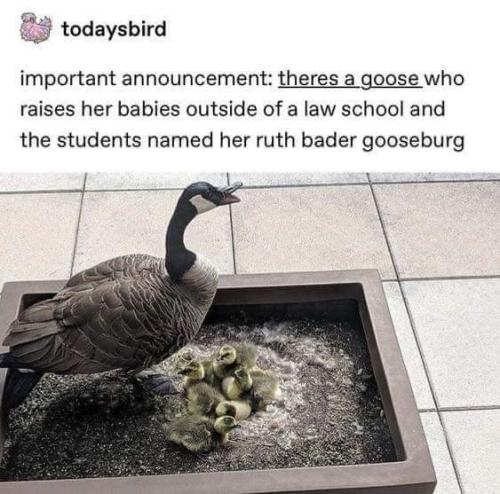 6e5a4e6a-660f-4f05-822a-df47c3002746