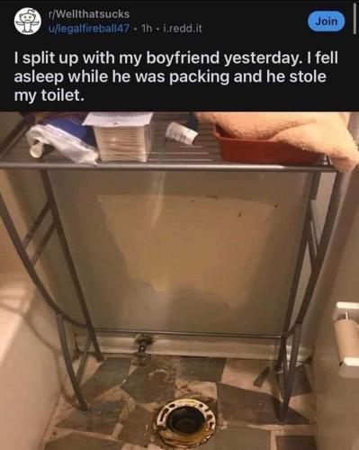took the toilet