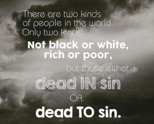 8c00eebc-fd80-4644-bc7a-8378940ac995