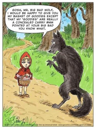 335906575_1901980383488292_3799644215078597184_n