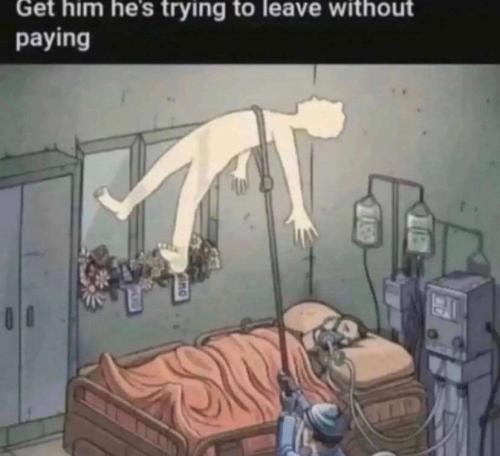 FB_IMG_1677486550915