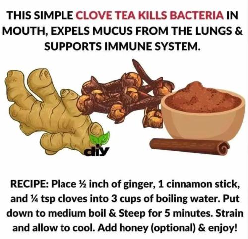 Clove Tea for Respiratory Cold Infection