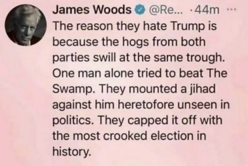 James Woods on Trump