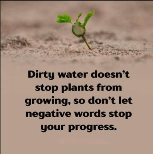 Screenshot_20230311_235341_YouTube