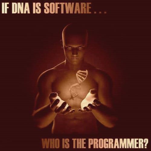 338237281_105794735810022_5202072986546711837_n