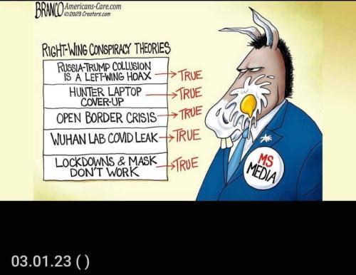 FB_IMG_1677868198047