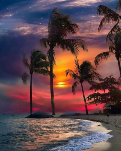 3-MonthSupply_728x90