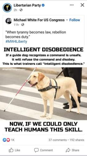 FB_IMG_1678133263053