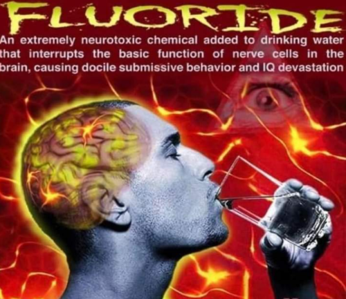 Screenshot_2022-03-30-11-53-23_kindlephoto-219240136