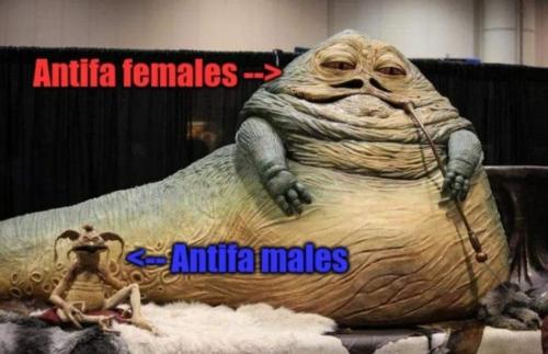 FB_IMG_1679938326054