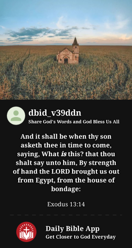 2023-03-091678426300002