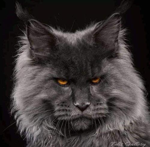 FB_IMG_1678850622108