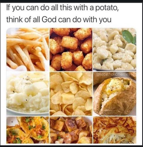 Screenshot_20230310_163104_Chrome