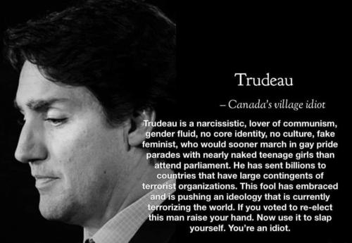 sockboy trudeau
